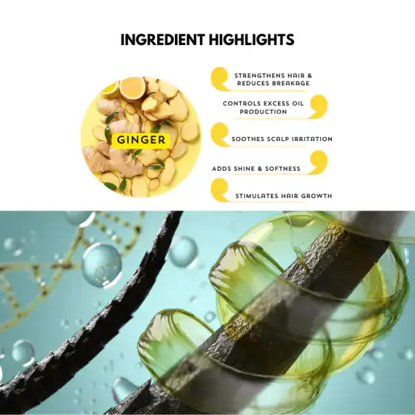 Ginger root showing health benefits for scalp, hair growth, and skin. Natural hair care with ginger and essential oils.